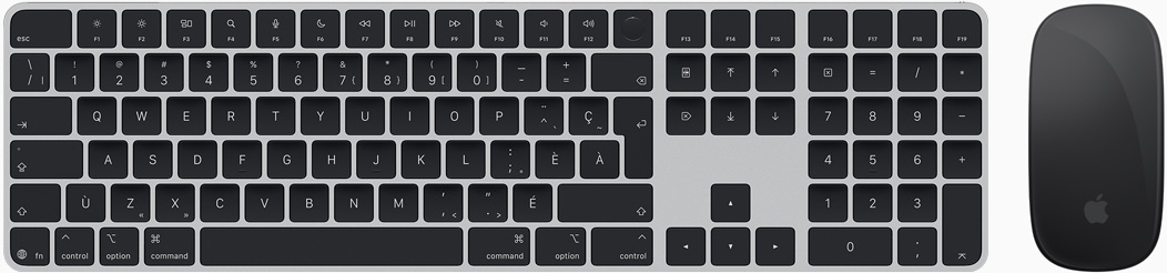 Vue de dessus d’un Magic Keyboard et d’une Magic Mouse