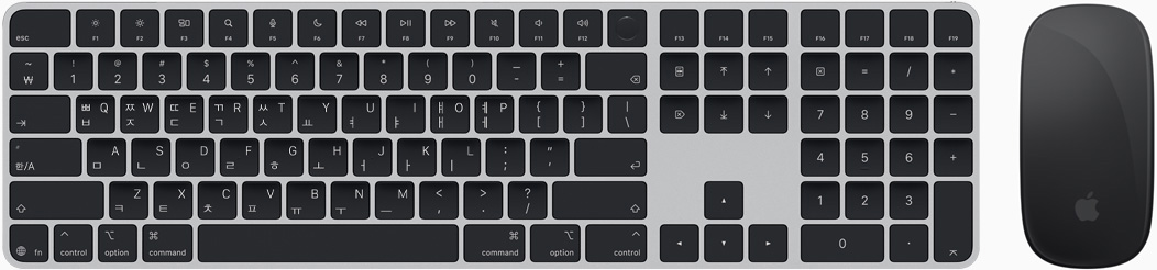 Magic Keyboard 및 Magic Mouse를 위에서 내려다본 모습
