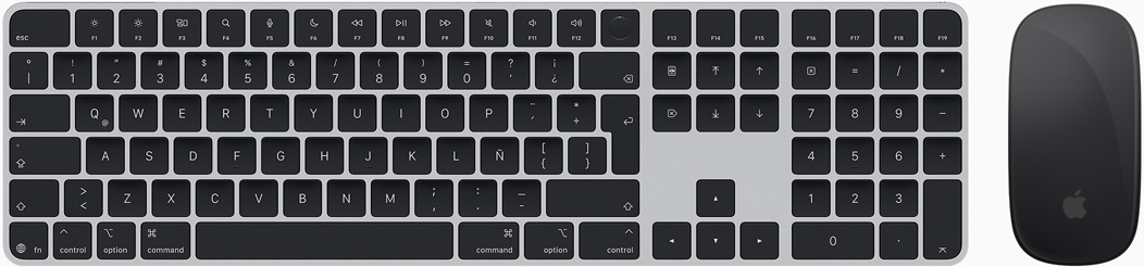 Vista desde arriba del Magic Keyboard y el Magic Mouse