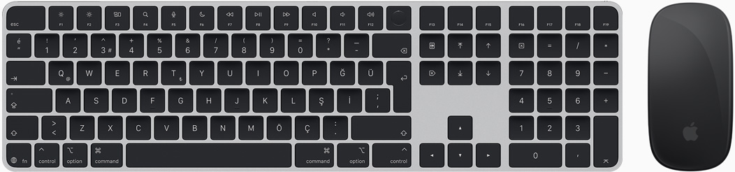 Magic Keyboard ve Magic Mouse’un üstten görünümü