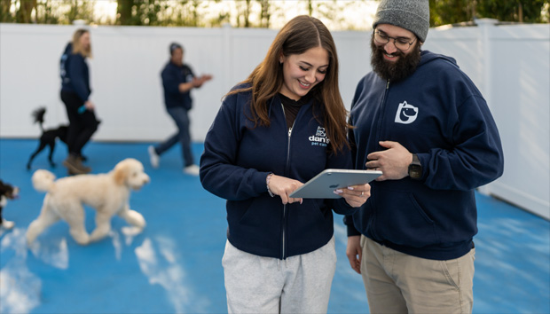Duas pessoas lado a lado interagem com um iPad. Outras duas pessoas e cães aparecem ao fundo