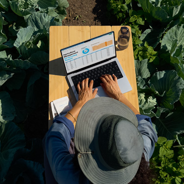 Imagem aérea de uma mulher com um chapéu de abas largas preparando uma apresentação de negócios em um MacBook, sentada a uma mesa em um jardim
