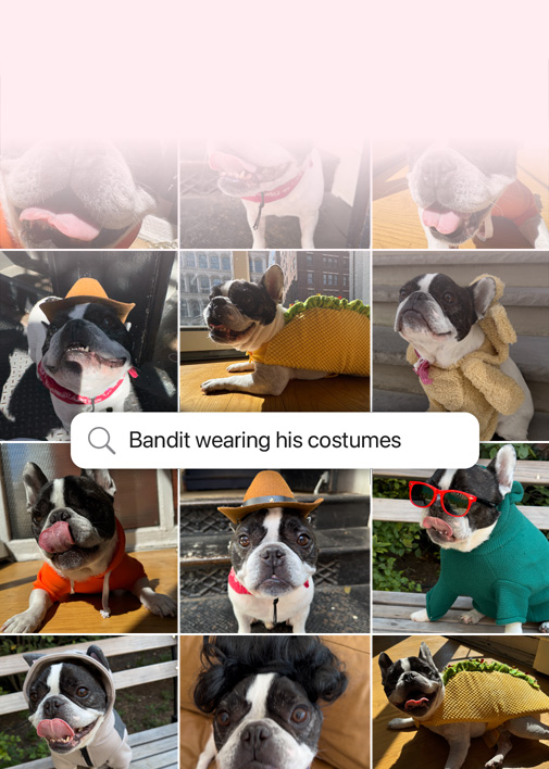 Demonstração de recurso: Busca em linguagem natural nas fotos. Fotos de um cachorro com uma busca por cima das fotos: 'Bandit usando fantasia'.